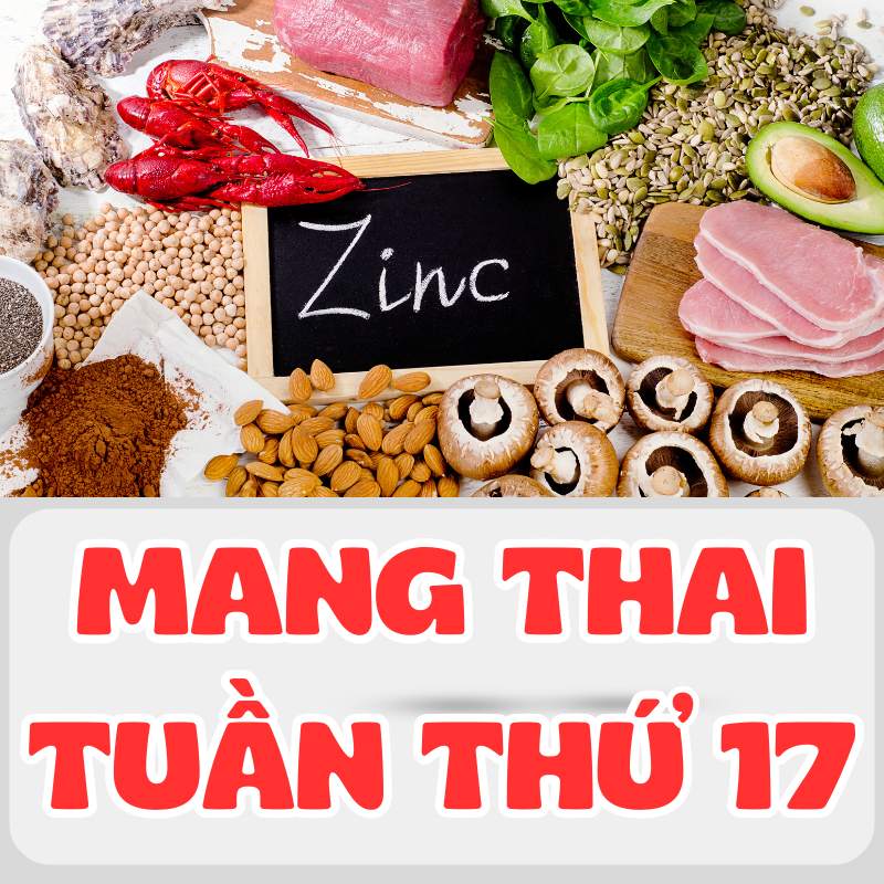 Chất kẽm cần thiết khi mang thai tuần thứ 17